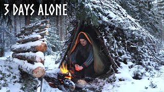 Finding Shelter in Snow 3 Day WINTER Camping Bushcraft Survival Shelter [upl. by Ettenil]