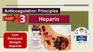 Heparin Anticoagulation Principles  Part 3 Low Molecular Weight Heparin [upl. by Claus]