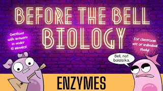 Enzymes Before the Bell Biology [upl. by Ancell685]