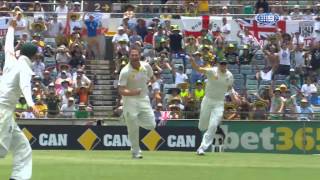 Ryno rolls Cook first ball [upl. by Suzan]