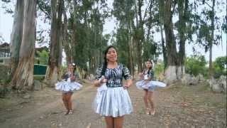 LAS GAVIOTITAS  NO SE PUEDE CONVIVIR VIDEO OFICIAL 2013 [upl. by Robertson]