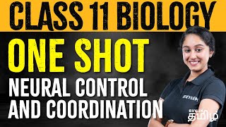 ONE SHOT  Class 11  Neural Control and coordination  Xylem NEET Tamil [upl. by Eatton731]