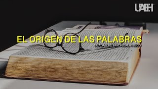 El origen de las palabras [upl. by Aniat]