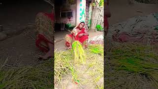 par desi par desi jana nahi mujhe chhod ke khushiverma copy [upl. by Caprice]