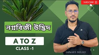 নগ্নবীজী ও অবৃতবীজী উদ্ভিদ  Gymnosperms and Angiosperms  HSC Biology [upl. by Dabney]