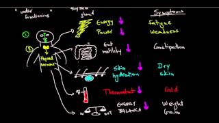 What is Hashimotos disease [upl. by Ahsitak]