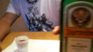 Drinkin Jager out of Ice Shot Glasses [upl. by Nennerb]