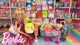 Barbie Doll Toy Shopping for Squishmallows with Barbie Family [upl. by Nahn]