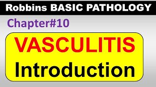 Ch10  Vasculitis Introduction  Blood Vessel Pathology  Robbins Lectures [upl. by Amleht912]