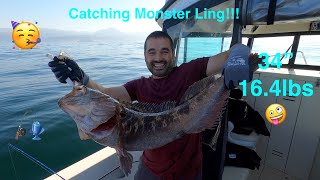 Fishing for Giant LINGCOD and rockfish in Monterey CA [upl. by Idolah]