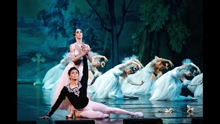 Giselle Ballet  Full Performance  Live Ballet [upl. by Nahtahoj]