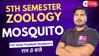 Lt29 Mosquito  5th Semester Zoology Paper  01  Sumit Rana Sir [upl. by Welch]