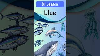 Blazing Bl Sounds One Minute Phonics Fun🎉👧🏽👦🏻✨ easyenglish learnenglish englishquizforkids [upl. by Eserehc]