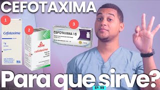 CEFOTAXIMA PARA QUE SIRVE  3 COSAS [upl. by Orfurd267]