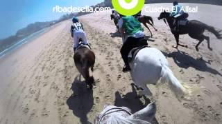 Carrera de Caballos Ribadesella GoPro ribadesellacom [upl. by Searcy822]