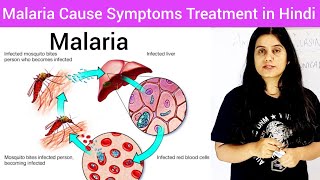 Malaria Cause Symptoms Diagnosis Treatment Hindi  Life Cycle of Plasmodium Hindi  What is Malaria [upl. by Damon444]