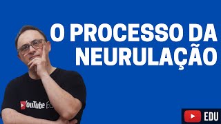 O PROCESSO DE NEURULAÇÃO [upl. by Elmajian]