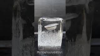 Molten Aluminum vs Ice 🧊 moltenaluminum ice [upl. by Terry]