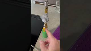 Using Propane in a Butane Stove to simmer food in a Stanley Cup [upl. by Aviva254]