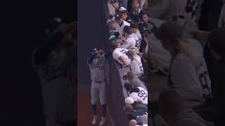 Yankees fan pulls ball out of Mookie Betts glove in World Series Game 4  MLB on FOX [upl. by Norraf]