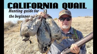 How to hunt California Quail [upl. by Emanuele]