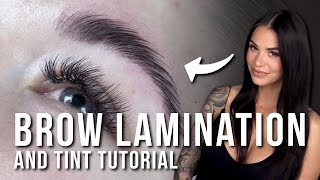 How to Do a Brow Lamination and Tint [upl. by Resiak644]