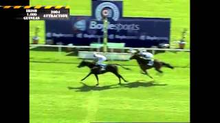 Irish 1000 Guineas Video Vault [upl. by Enelkcaj]