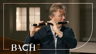 Bach  Flute sonata in E minor BWV 1034  Root  Netherlands Bach Society [upl. by Ishmael]