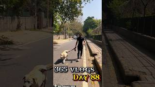 Day 88365 Vlogs ✅ trending shortsfeed youtubeshorts shortvideoyoutubeminivlog trendingshorts [upl. by Devaj697]