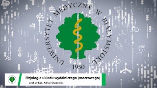 Fizjologia układu wydalniczego moczowego prof dr hab Adrian Chabowski [upl. by Sewoll355]