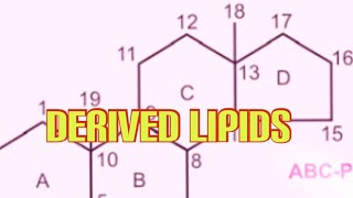 Derived Lipids Biochemistry [upl. by Knarf]