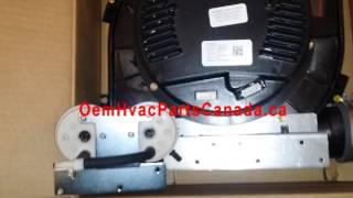 Carrier Draft Inducer Motor Assembly 340793762 with Pressure Switches [upl. by Nnaeirb577]