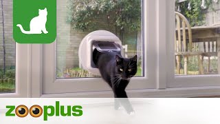 SureFlap Microchip Cat Flap Connect  zoopluscouk [upl. by Forsyth]