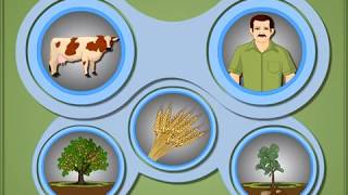 Heterotrophic Mode of Nutrition in Plants  Macmillan Education India [upl. by Elicec]