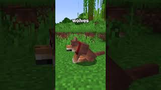 Minecraft Added NEW Dog Variants To The Game [upl. by Nonnair213]