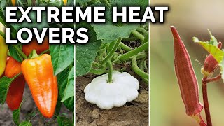 7 Perfect Vegetables to Grow in Hot Climates [upl. by Alcott]