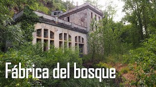 Esta FÁBRICA ABANDONADA está ESCONDIDA en el Bosque  Lugares Abandonados y URBEX [upl. by Embry675]