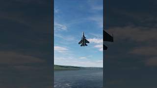 Su33 Cobra disappearing act dcs [upl. by Marieann]