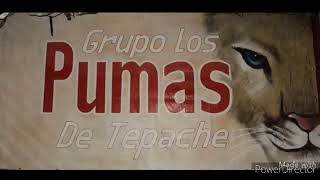 Grupo Los Pumas De Tepache  El Ranchito [upl. by Strawn]