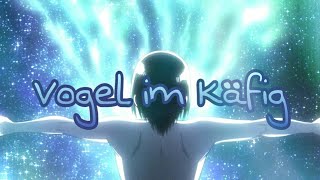 ·Vogel im Käfig AMV· [upl. by Eitisahc]