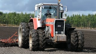 Massey Ferguson 2680 Working Hard Cultivating The Field at MF Markdage 2018  DK Agriculture [upl. by Chevy]