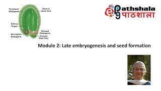 Module 2 Late Embryogenesis and Seed formation EPGPathshala [upl. by Chew]