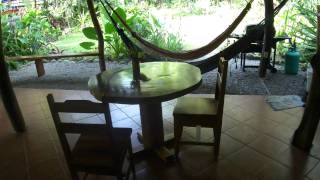 Toucan Stay Inn Punta Uva Costa Rica [upl. by Asyle]