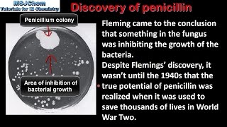 D2 Discovery of penicillin SL [upl. by Koppel]