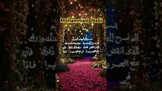 Mohammad Nabideenmejabardastinhihai arabic cover shortvideos [upl. by Aneehsat]