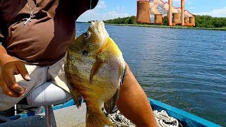 Fishing for MONSTER bluegill on a old Power Plant Lake [upl. by Claybourne]