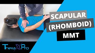 Manual Muscle Test  Scapular Adduction and Internal Rotation Rhomboid Strength [upl. by Painter]