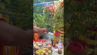 Tulsi maiyya suno meri prarthana tranding tulsivivah shortvideo status [upl. by Isayg]