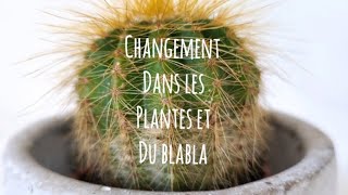 Changement dans les plantes et du blabla [upl. by Anelim]