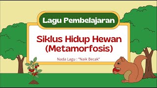 Lagu quotMETAMORFOSISquot [upl. by Jed]